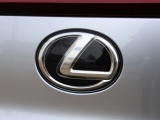 Lexus UX 250h F Sport Design | Bi-Tone | Leder | El. Achterklep
