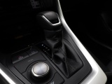 Toyota RAV4 2.5 Hybrid AWD Executive | Panoramdak | JBL Audio | Stoelventila