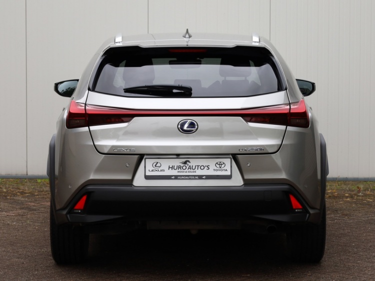Lexus UX 250h Luxury Line | Leder | Head-up | Dodehoek