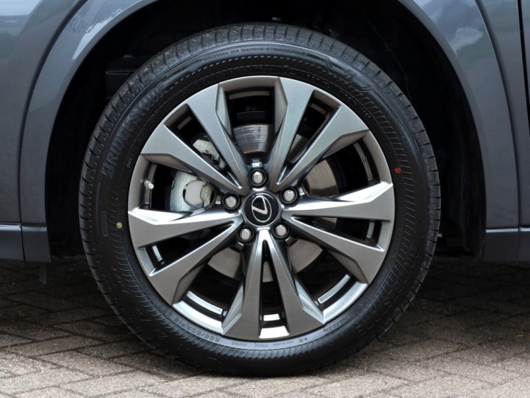 Lexus UX 250h F Sport Line Premium | Head-Up | Vol Leder