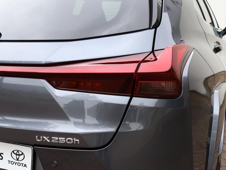 Lexus UX 250h F Sport Line Premium | Head-Up | Vol Leder