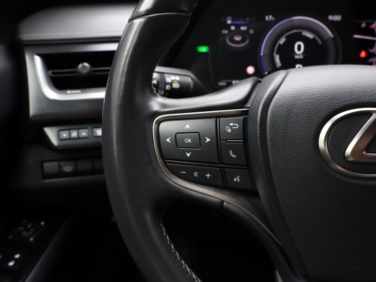 Lexus UX 250h Luxury Line | Leder | Head-up | Dodehoek