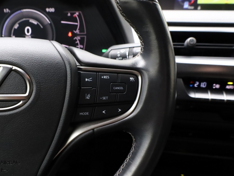 Lexus UX 250h Luxury Line | Leder | Head-up | Dodehoek