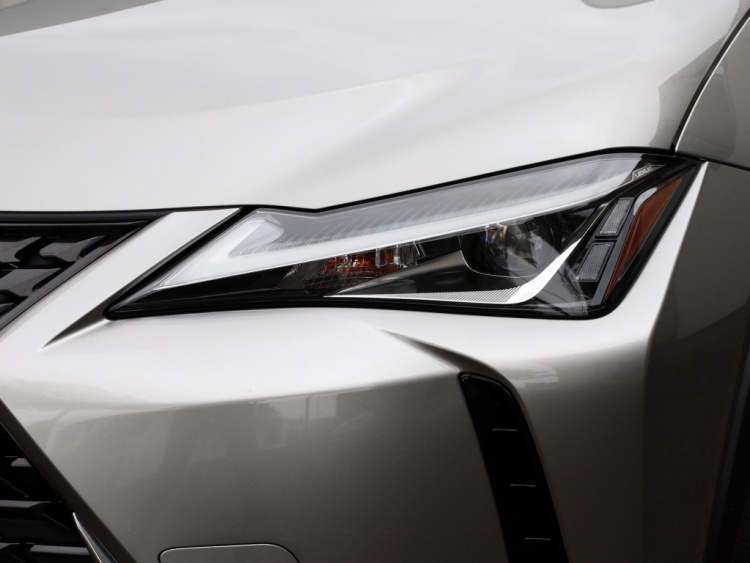 Lexus UX 250h Luxury Line | Leder | Head-up | Dodehoek