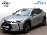 Lexus UX 250h Luxury Line | Leder | Head-up | Dodehoek