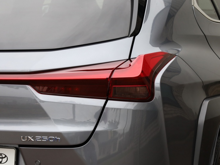 Lexus UX 250h AWD Luxury Line | Leder | Head up | Dodehoek