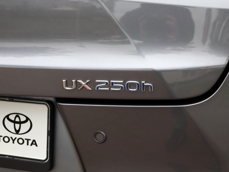 Lexus UX 250h AWD Luxury Line | Leder | Head up | Dodehoek