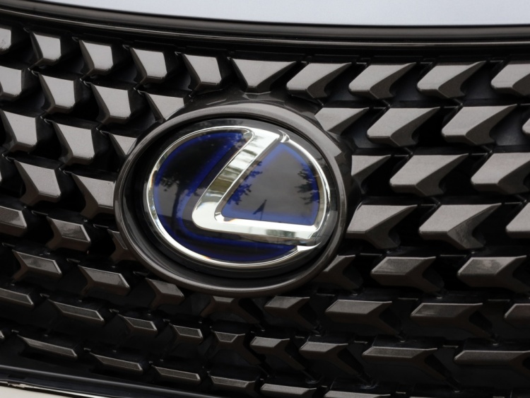 Lexus UX 250h AWD Luxury Line | Leder | Head up | Dodehoek