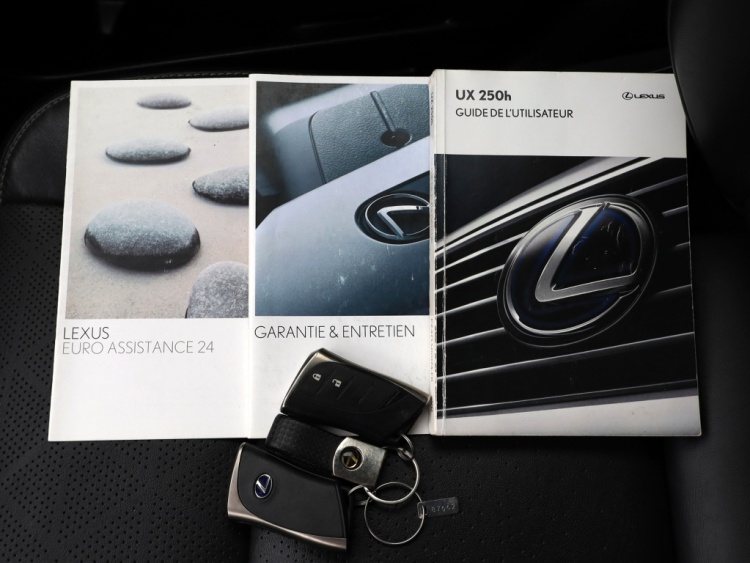 Lexus UX 250h AWD Luxury Line | Leder | Head up | Dodehoek