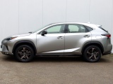 Lexus NX 300h AWD Sport Edition | Panoramadak | Leder | Premium Navi