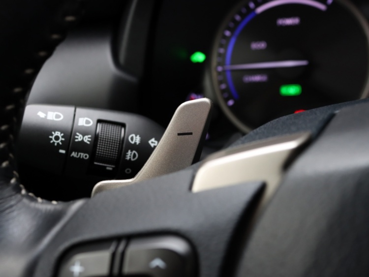 Lexus NX 300h AWD Sport Edition | Panoramadak | Leder | Premium Navi