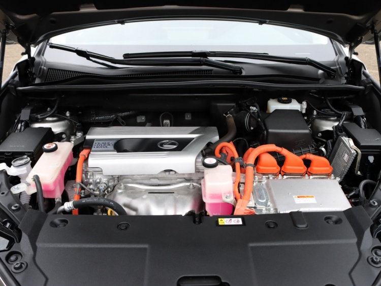 Lexus NX 300h AWD Sport Edition | Panoramadak | Leder | Premium Navi