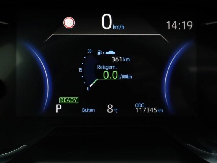 Toyota RAV4 2.5 Hybrid Bi-Tone | Panoramadak | JBL | Treeplanken