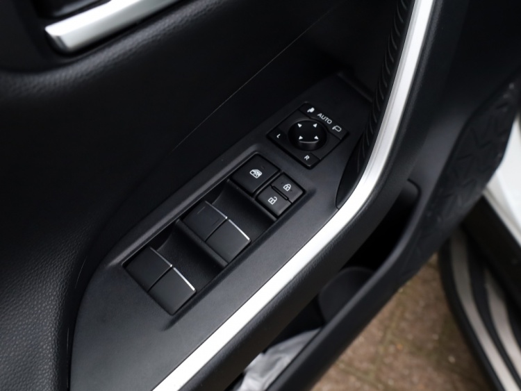 Toyota RAV4 2.5 Hybrid Bi-Tone | Panoramadak | JBL | Treeplanken