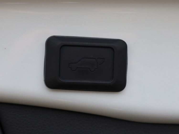 Toyota RAV4 2.5 Hybrid Bi-Tone | Panoramadak | JBL | Treeplanken