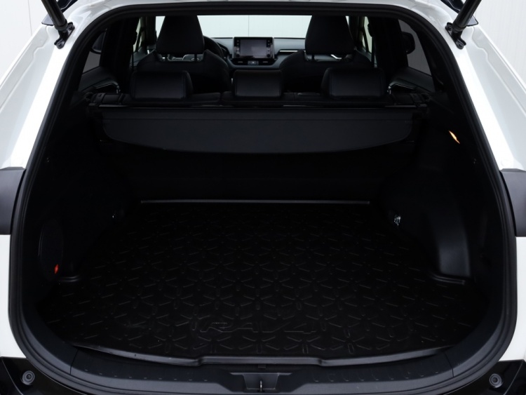 Toyota RAV4 2.5 Hybrid Bi-Tone | Panoramadak | JBL | Treeplanken