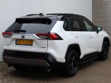 Toyota RAV4 2.5 Hybrid Bi-Tone | Panoramadak | JBL | Treeplanken