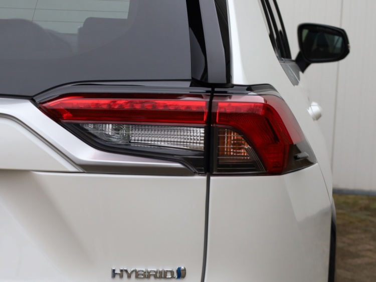 Toyota RAV4 2.5 Hybrid Bi-Tone | Panoramadak | JBL | Treeplanken
