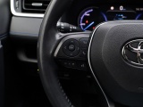 Toyota RAV4 2.5 Hybrid Bi-Tone | Panoramadak | JBL Audio | Treeplanken