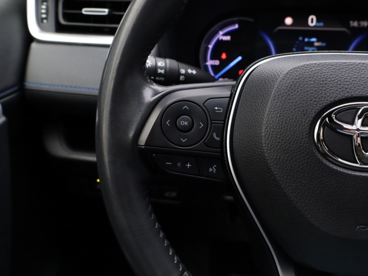 Toyota RAV4 2.5 Hybrid Bi-Tone | Panoramadak | JBL Audio | Treeplanken