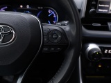 Toyota RAV4 2.5 Hybrid Bi-Tone | Panoramadak | JBL Audio | Treeplanken