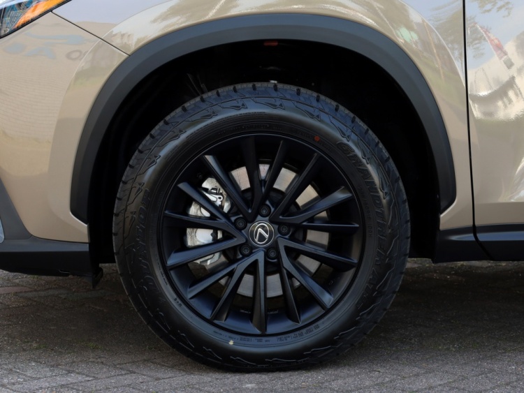 Lexus NX 450h+ AWD Overtrail | Panoramadak | 360 Camera | Trekhaak