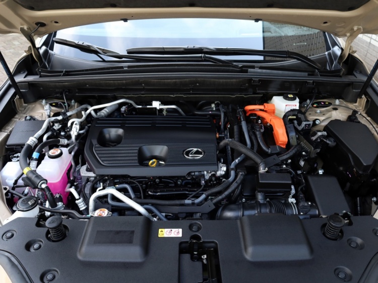 Lexus NX 450h+ AWD Overtrail | Panoramadak | 360 Camera | Trekhaak