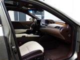 Lexus ES 300h President Line | Mark Levinson | Stoelventilatie | 360 Came