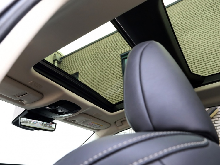 Lexus NX 350h AWD President Line | Mark Levinson | Panoramadak | Park-ass