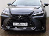 Lexus NX 350h AWD President Line | Mark Levinson | Panoramadak | Park-ass