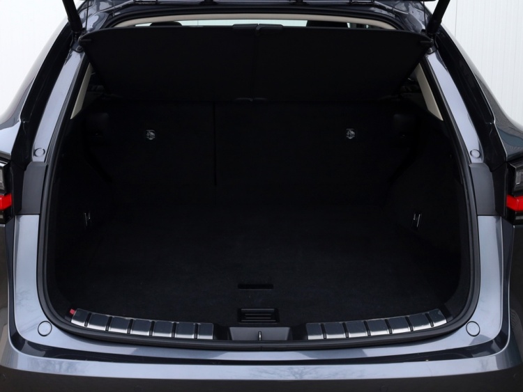 Lexus NX 350h AWD President Line | Mark Levinson | Panoramadak | Park-ass