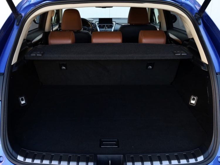 Lexus NX 300h AWD President Line | Mark Levinson | Schuifdak | 360 Camera