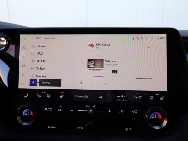 Lexus RX 450h+ President Line | Panoramadak | Mark Levinson | Park-Assist