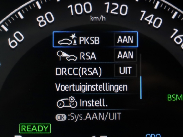 Toyota RAV4 2.5 Hybrid AWD Executive | JBL | 360 Camera | Leder