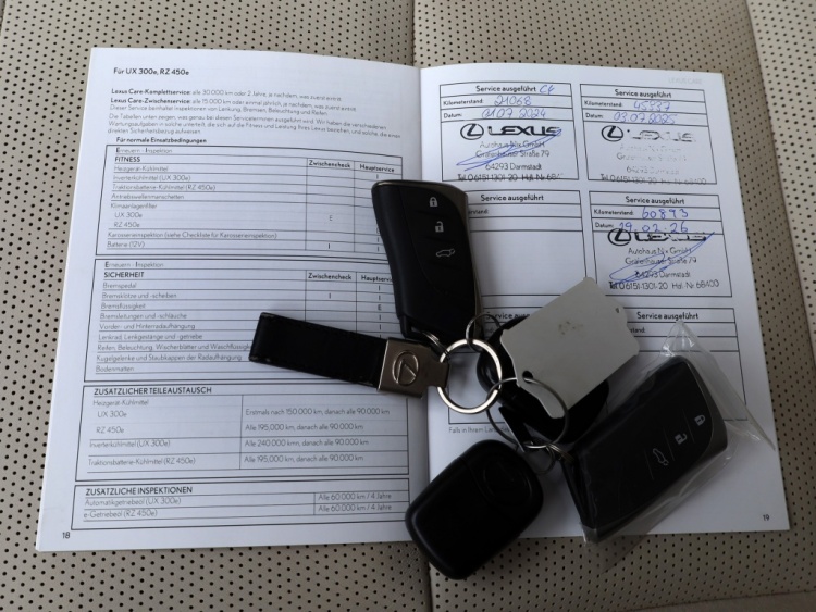 Lexus RX 450h+President Line