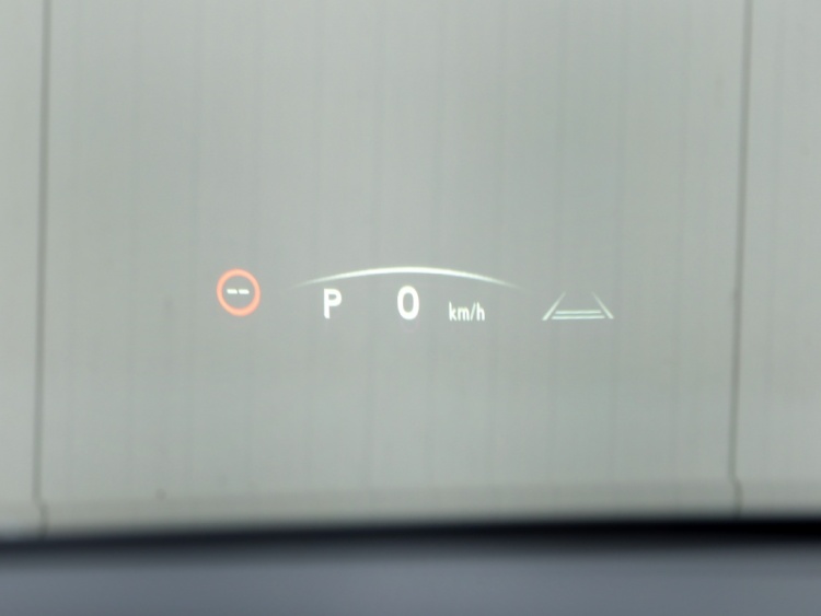 Lexus RX 450h+President Line