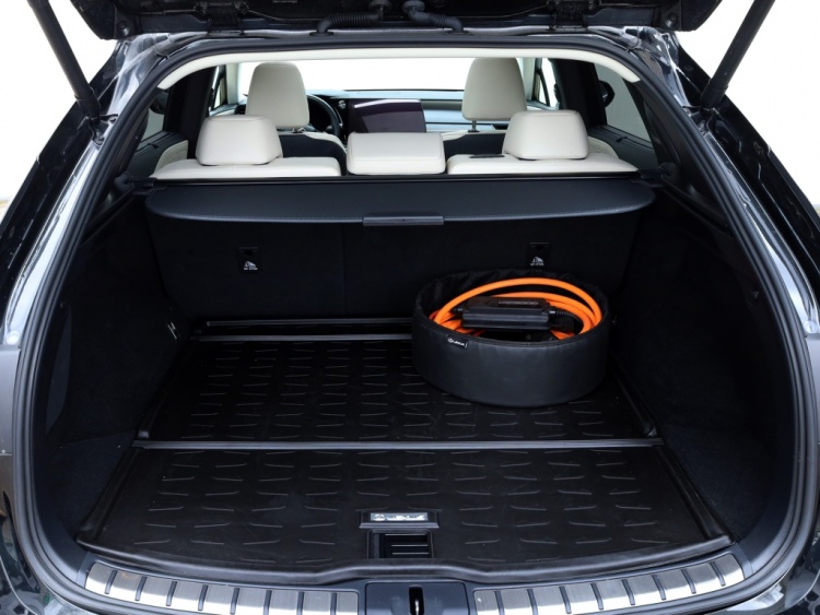 Lexus RX 450h+President Line