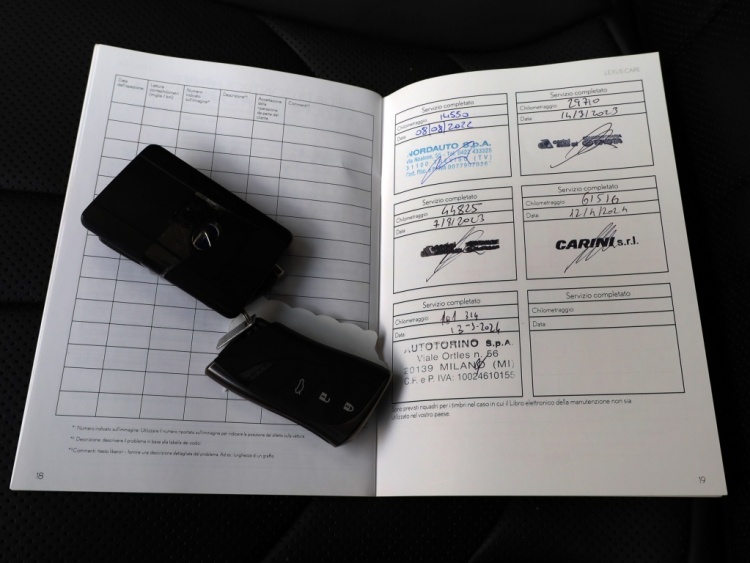 Lexus ES 300h F Sport Line | 360 Camera | Premium Navi | Dodehoek