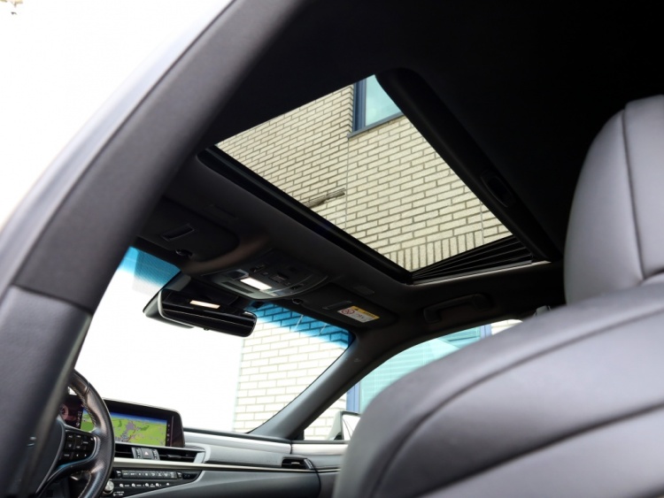 Lexus ES 300h F Sport Line | 360 Camera | Premium Navi | Dodehoek