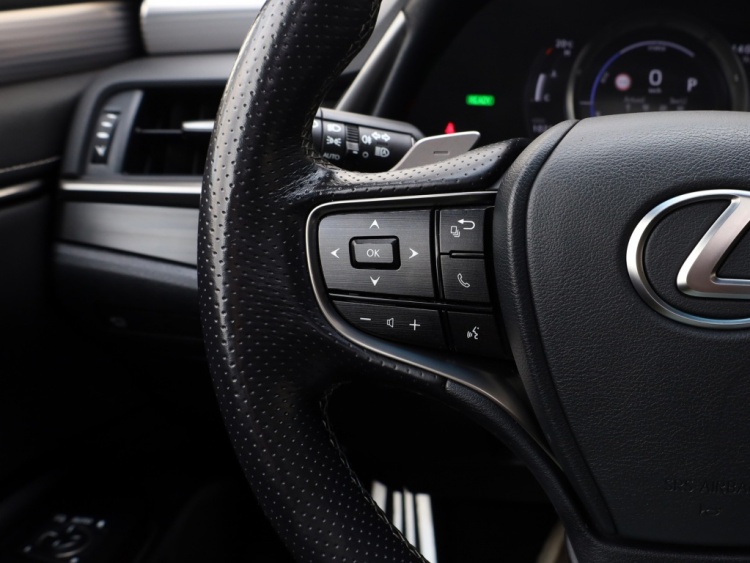 Lexus ES 300h F Sport Line | 360 Camera | Premium Navi | Dodehoek