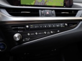 Lexus ES 300h F Sport Line | 360 Camera | Premium Navi | Dodehoek