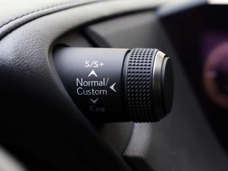 Lexus ES 300h F Sport Line | 360 Camera | Premium Navi | Dodehoek