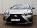 Lexus ES 300h F Sport Line | 360 Camera | Premium Navi | Dodehoek