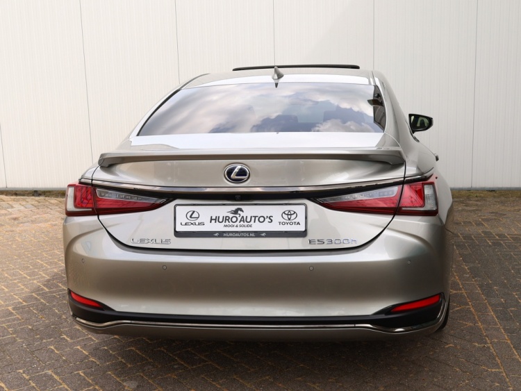 Lexus ES 300h F Sport Line | 360 Camera | Premium Navi | Dodehoek