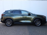 Lexus NX 350h Luxury Line | Panoramadak | 360 Camera | Head-Up