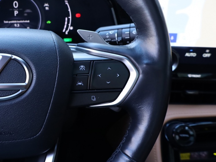 Lexus NX 350h Luxury Line | Panoramadak | 360 Camera | Head-Up