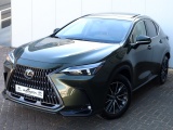 Lexus NX 350h Luxury Line | Panoramadak | 360 Camera | Head-Up