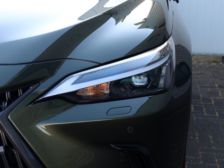 Lexus NX 350h Luxury Line | Panoramadak | 360 Camera | Head-Up