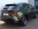 Lexus NX 350h Luxury Line | Panoramadak | 360 Camera | Head-Up