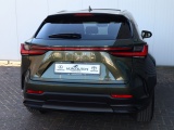 Lexus NX 350h Luxury Line | Panoramadak | 360 Camera | Head-Up
